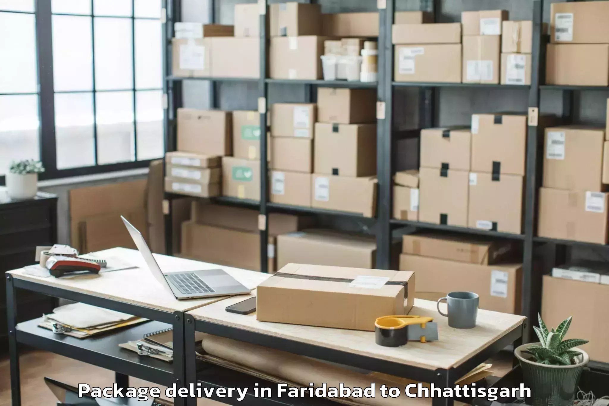 Trusted Faridabad to Pharsabahar Package Delivery